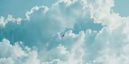 the sky looks overcast and so is a bird flying above