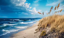 sea oats sticking out from the top of the beach