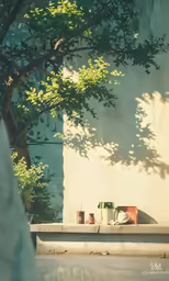 a green tree is reflected in the wall and the sun shines through