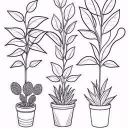 three pots with different plants growing from the tops