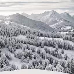 a snowy mountain view with trees covered in snow