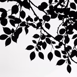 black and white photograph of leaves from tree