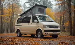 a van parked in front of trees with autumn leaves