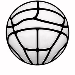 a black and white drawing of a basketball,a close up of a white basketball ball