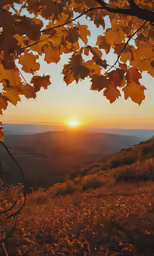 a scenic view of the sunset over a valley