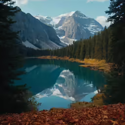 some very pretty lake with lots of trees