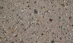 some rocks on the ground and gravel