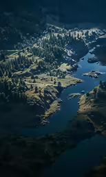 view from airplane, aerial picture of river and forested mountains