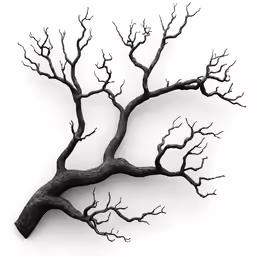 an image of a black and white tree