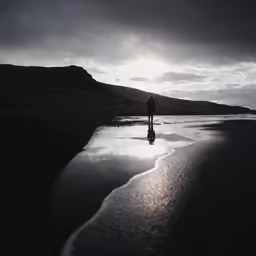 there is a man standing on the shore
