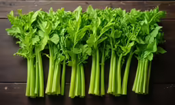 several small pieces of celery laying next to each other