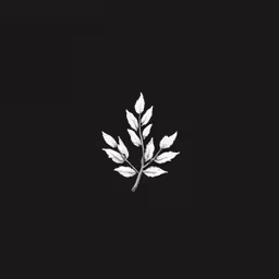 black and white image of a flower on a dark background