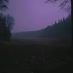 a lone person walking along the foggy woods at night
