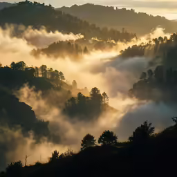 a view of some hills with some trees