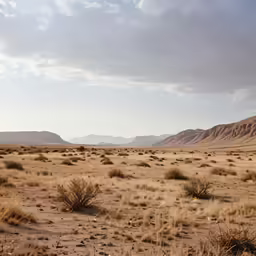 an arid desert landscape with mountains in the background