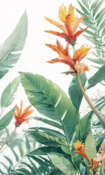 an image of some tropical plants and flowers