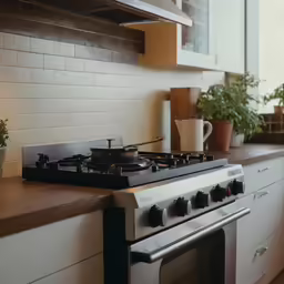 the stove top is in front of a counter with potted plants