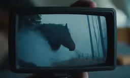 a dark horse that is walking through some water