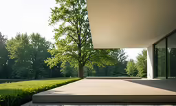 a patio with grass and trees by it