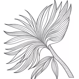 a tropical leaf, which is also part of an outline drawing,a line drawing of a leaf