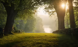 the sun is shining brightly over a field and trees