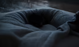 a cat that is laying on a gray pet bed