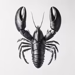 a lobster is hanging from the ceiling in front of white walls