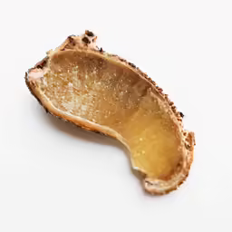 there is an almost eaten peanut in the foreground