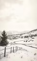 a snow covered hillside with a lone tree in it