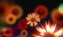a group of colorful flowers next to each other
