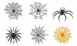 the spiderwemp has five different variations