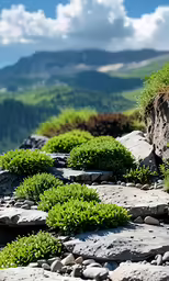 rocks are laying on top of a grassy hillside