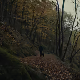 a couple of people walking along a dirt road