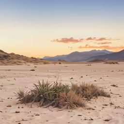 this is a desert setting with mountains in the background