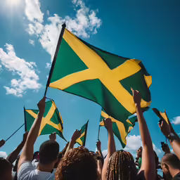 many people hold up flags against a blue sky