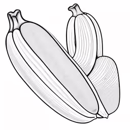 an illustration of four slices of an zucchini,an image of some kind of banana on a white background