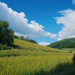 a woman is walking across an open field