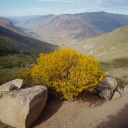 two large boulders on the side of a rocky hill