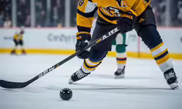 a closeup of a hockey player on the ice