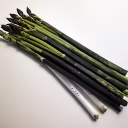 a bunch of flowers with sticks laying on the floor