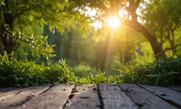 a wooden deck in front of the sunlight