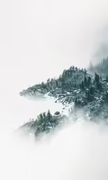 an island with trees is surrounded by fog