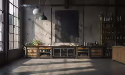 an empty kitchen in a loft, with plants on the counters