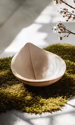 a bowl with a green background, is on top of the grass