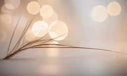 a close up of a small grass in front of some white lights