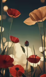 some red flowers sitting next to each other