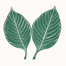 two leaves drawn in green ink on a white paper