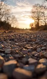 the sun shining through the trees as the rocks are on a dirt path