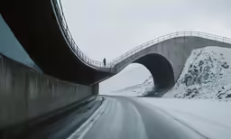 a person standing on the road underneath a bridge