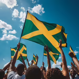 a group of people holding up some flags